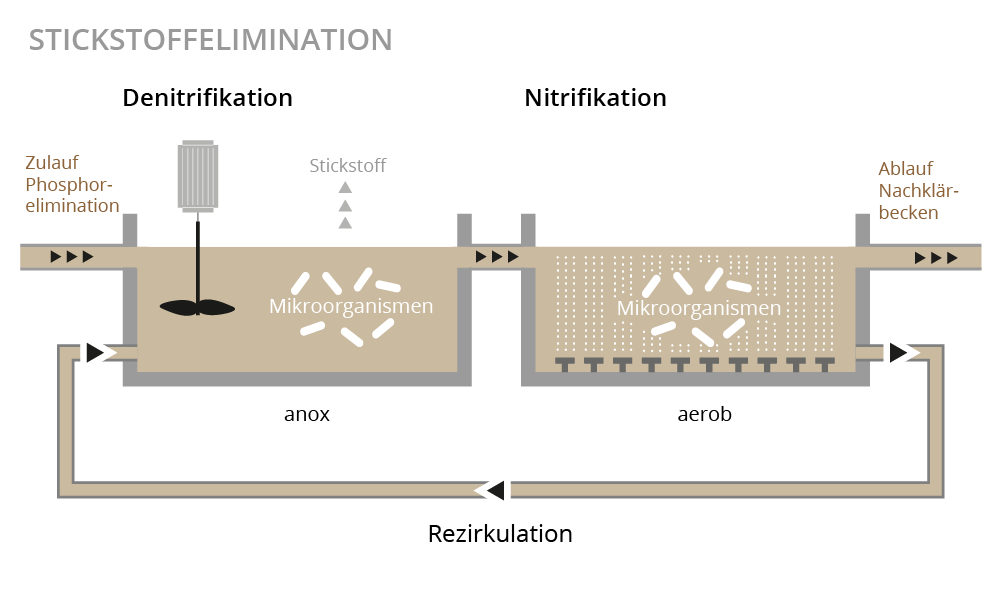 Illustration Stickstoffelimination