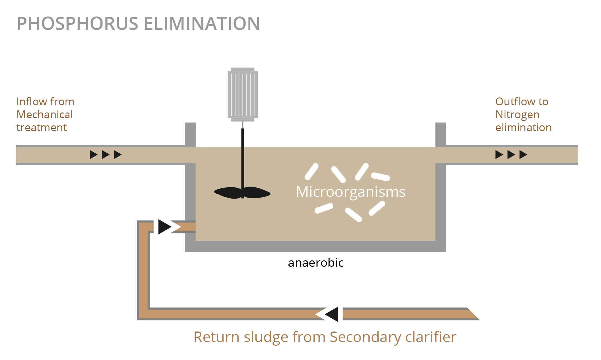 Illustration Phosphorelimination