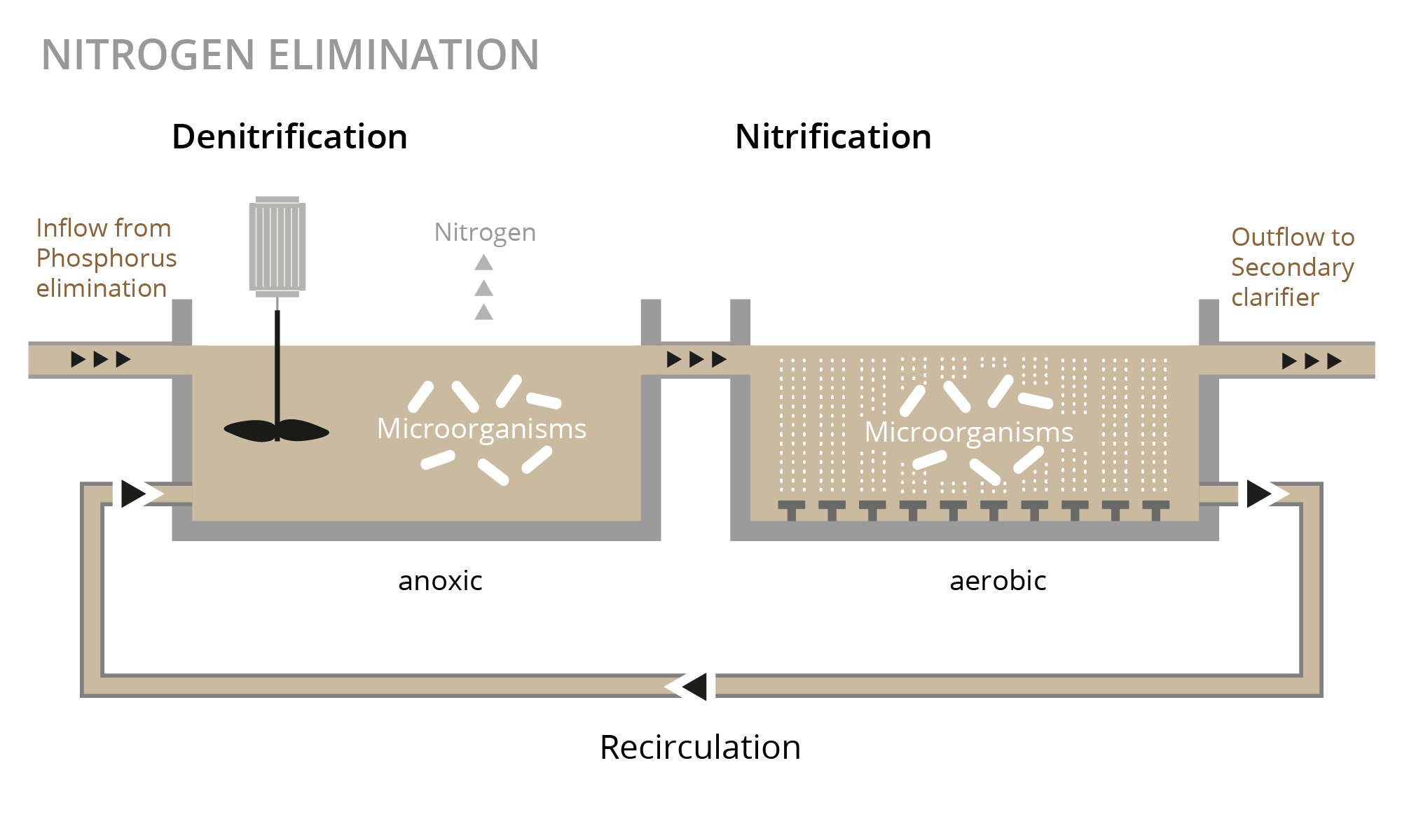 Illustration Stickstoffelimination