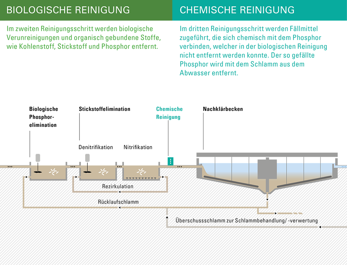 Beschreibung der Biologischen und chemischen Reinigung