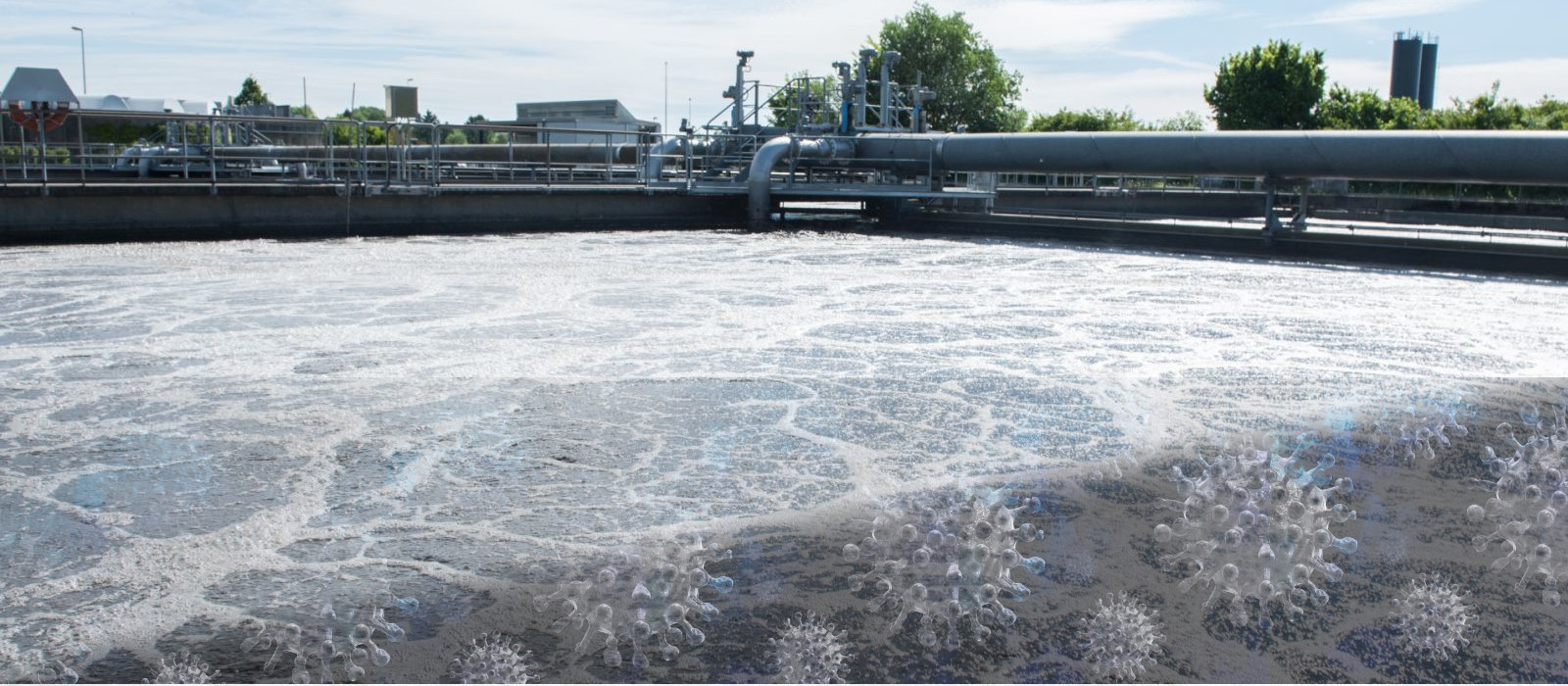 Coronaviren im Abwasser