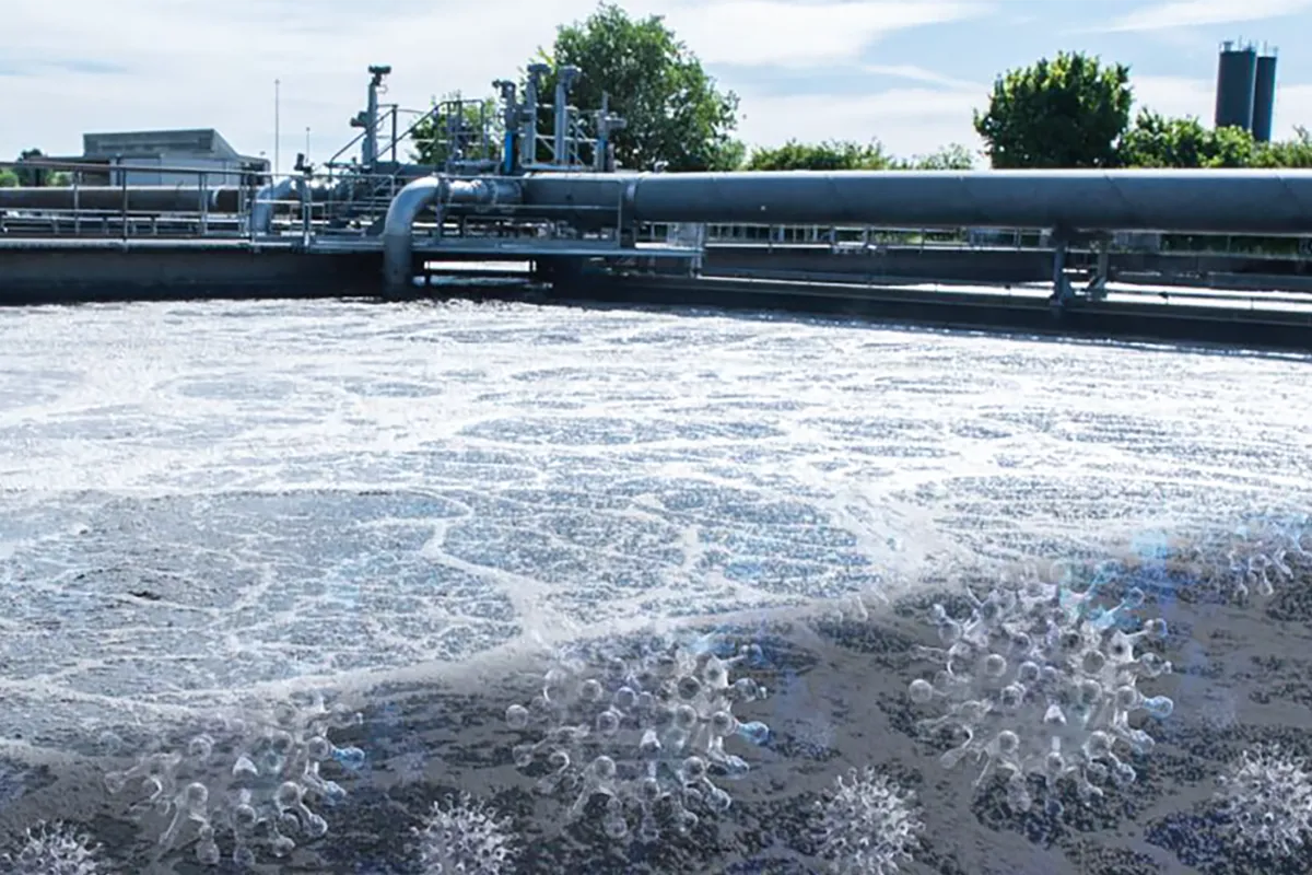 Abwasserscreening auf Coronaviren